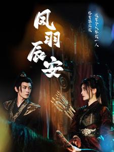 凤羽辰安 全集(大结局)