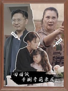 团圆饭手撕奇葩亲戚 全集(大结局)