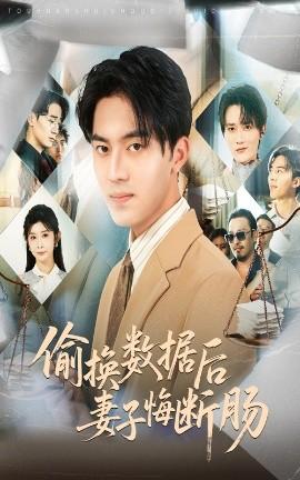 偷换数据后妻子悔断肠(全集)